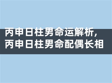 丙申日柱男命运解析,丙申日柱男命配偶长相
