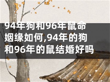 94年狗和96年鼠命姻缘如何,94年的狗和96年的鼠结婚好吗
