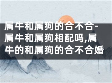 属牛和属狗的合不合-属牛和属狗相配吗,属牛的和属狗的合不合婚