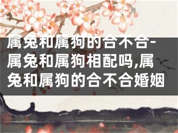 属兔和属狗的合不合-属兔和属狗相配吗,属兔和属狗的合不合婚姻