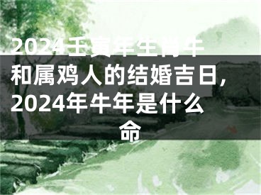 2024壬寅年生肖牛和属鸡人的结婚吉日,2024年牛年是什么命
