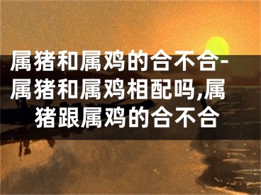 属猪和属鸡的合不合-属猪和属鸡相配吗,属猪跟属鸡的合不合