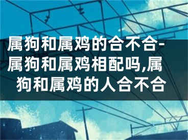 属狗和属鸡的合不合-属狗和属鸡相配吗,属狗和属鸡的人合不合