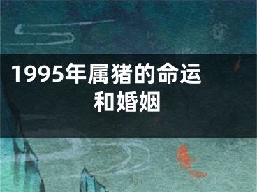 1995年属猪的命运和婚姻