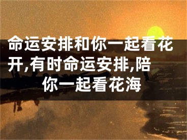 命运安排和你一起看花开,有时命运安排,陪你一起看花海