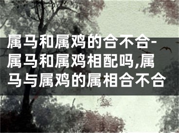 属马和属鸡的合不合-属马和属鸡相配吗,属马与属鸡的属相合不合