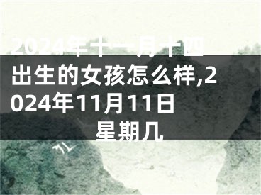 2024年十一月十四出生的女孩怎么样,2024年11月11日星期几