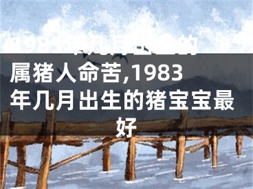 1983年几月出生的属猪人命苦,1983年几月出生的猪宝宝最好