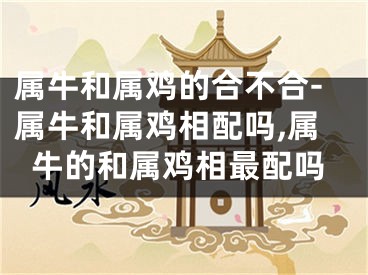 属牛和属鸡的合不合-属牛和属鸡相配吗,属牛的和属鸡相最配吗