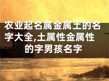 农业起名属金属土的名字大全,土属性金属性的字男孩名字