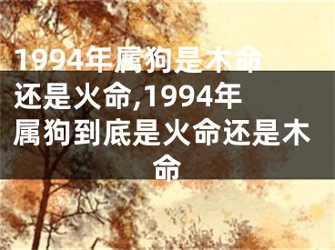1994年属狗是木命还是火命,1994年属狗到底是火命还是木命