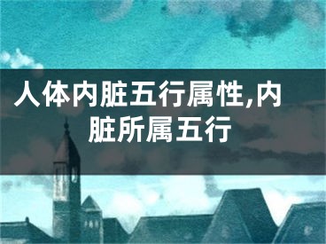 人体内脏五行属性,内脏所属五行