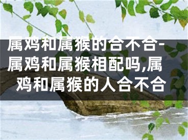属鸡和属猴的合不合-属鸡和属猴相配吗,属鸡和属猴的人合不合