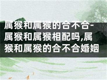 属猴和属猴的合不合-属猴和属猴相配吗,属猴和属猴的合不合婚姻