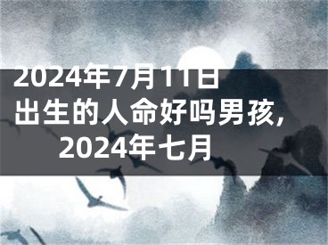 2024年7月11日出生的人命好吗男孩,2024年七月