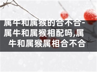 属牛和属猴的合不合-属牛和属猴相配吗,属牛和属猴属相合不合