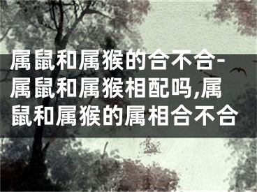 属鼠和属猴的合不合-属鼠和属猴相配吗,属鼠和属猴的属相合不合