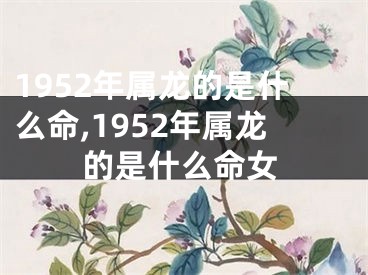 1952年属龙的是什么命,1952年属龙的是什么命女
