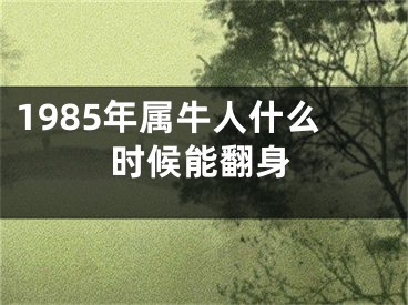1985年属牛人什么时候能翻身