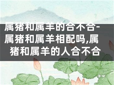 属猪和属羊的合不合-属猪和属羊相配吗,属猪和属羊的人合不合