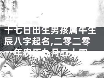 2024年农历九月二十七日出生男孩属牛生辰八字起名,二零二零年农历九月二十四