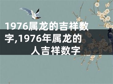 1976属龙的吉祥数字,1976年属龙的人吉祥数字
