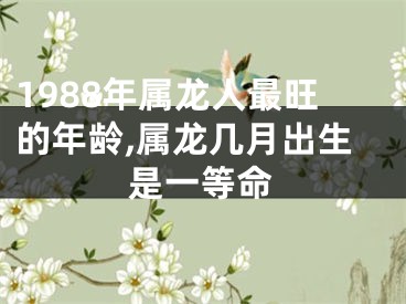 1988年属龙人最旺的年龄,属龙几月出生是一等命