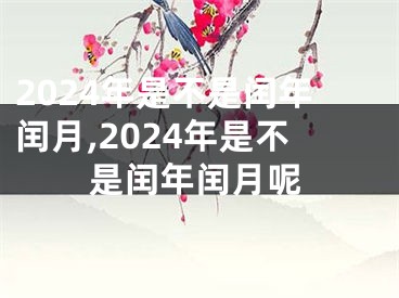2024年是不是闰年闰月,2024年是不是闰年闰月呢