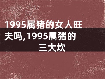 1995属猪的女人旺夫吗,1995属猪的三大坎