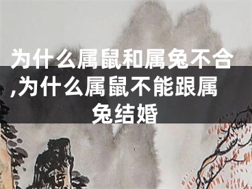 为什么属鼠和属兔不合,为什么属鼠不能跟属兔结婚