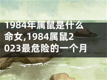 1984年属鼠是什么命女,1984属鼠2023最危险的一个月