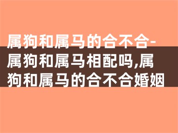 属狗和属马的合不合-属狗和属马相配吗,属狗和属马的合不合婚姻