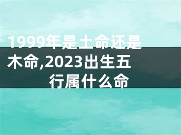 1999年是土命还是木命,2023出生五行属什么命