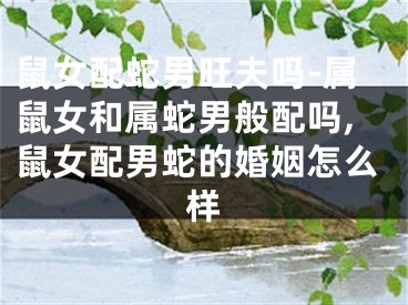 鼠女配蛇男旺夫吗-属鼠女和属蛇男般配吗,鼠女配男蛇的婚姻怎么样