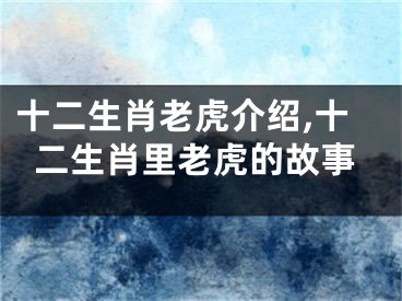 十二生肖老虎介绍,十二生肖里老虎的故事