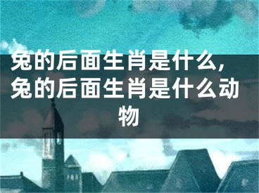 兔的后面生肖是什么,兔的后面生肖是什么动物