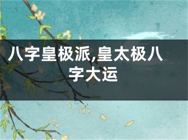 八字皇极派,皇太极八字大运