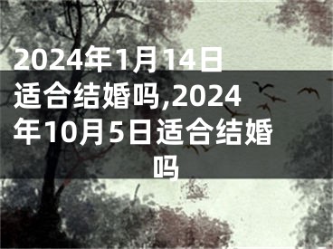2024年1月14日适合结婚吗,2024年10月5日适合结婚吗