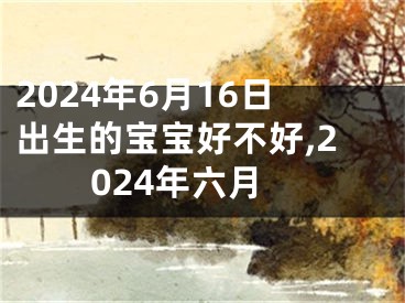 2024年6月16日出生的宝宝好不好,2024年六月