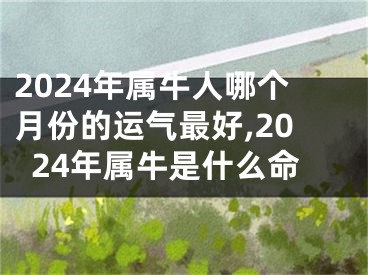 2024年属牛人哪个月份的运气最好,2024年属牛是什么命