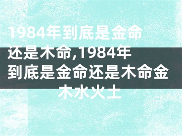 1984年到底是金命还是木命,1984年到底是金命还是木命金木水火土