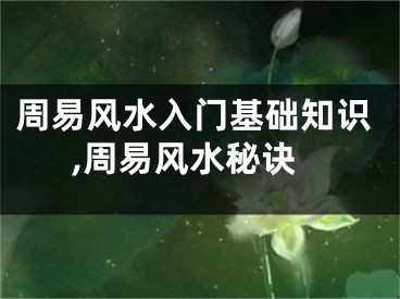 周易风水入门基础知识,周易风水秘诀