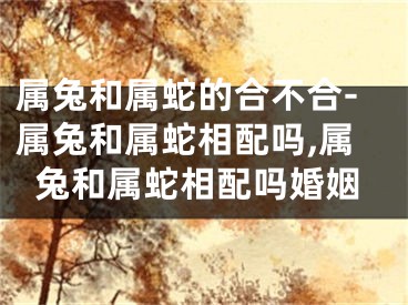 属兔和属蛇的合不合-属兔和属蛇相配吗,属兔和属蛇相配吗婚姻