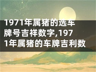 1971年属猪的选车牌号吉祥数字,1971年属猪的车牌吉利数