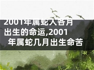 2001年属蛇人各月出生的命运,2001年属蛇几月出生命苦