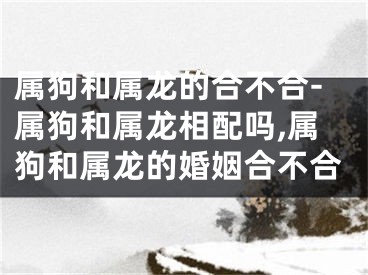属狗和属龙的合不合-属狗和属龙相配吗,属狗和属龙的婚姻合不合