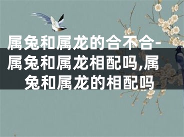 属兔和属龙的合不合-属兔和属龙相配吗,属兔和属龙的相配吗