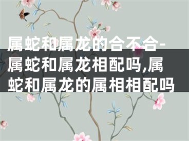 属蛇和属龙的合不合-属蛇和属龙相配吗,属蛇和属龙的属相相配吗