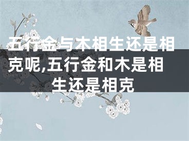 五行金与木相生还是相克呢,五行金和木是相生还是相克