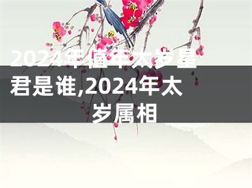 2024年值年太岁星君是谁,2024年太岁属相